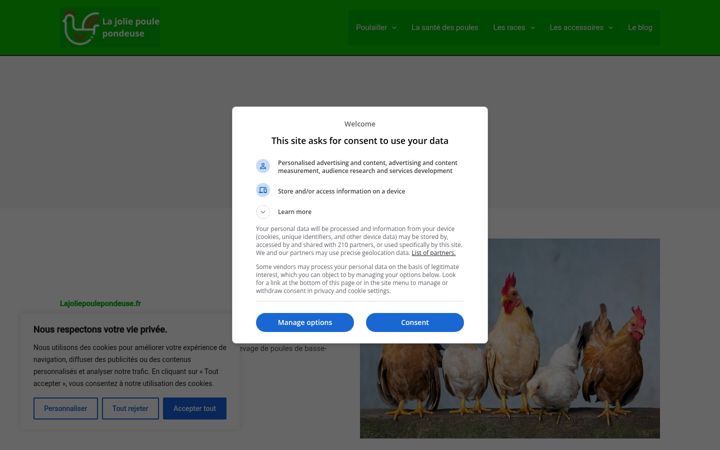 Screenshot of lajoliepoulepondeuse.fr