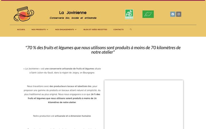 Screenshot of lajovinienne.fr