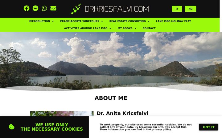 Screenshot of lakeiseoflats.com