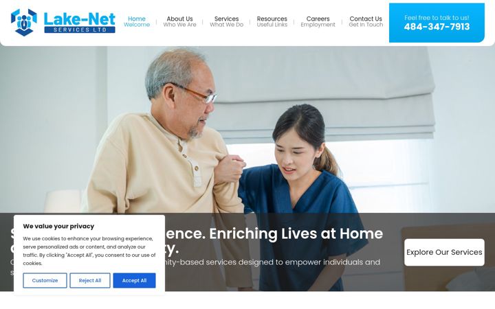 Screenshot of lakenetservices.com