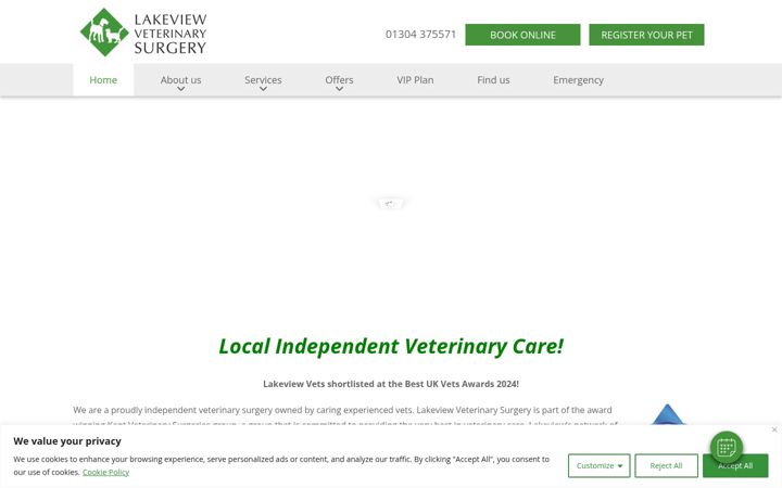 Screenshot of lakeviewvets.co.uk