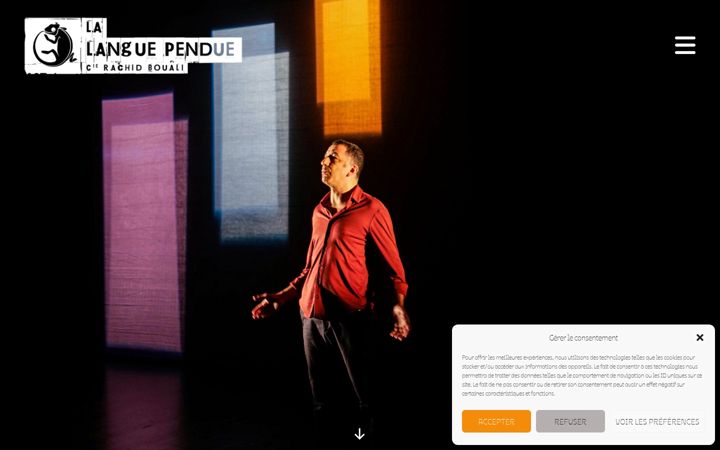 Screenshot of lalanguependue.fr
