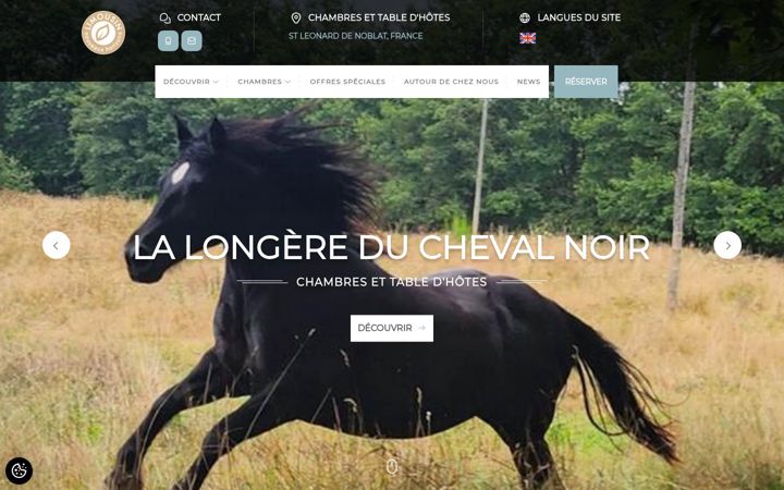 Screenshot of lalongereduchevalnoir.com