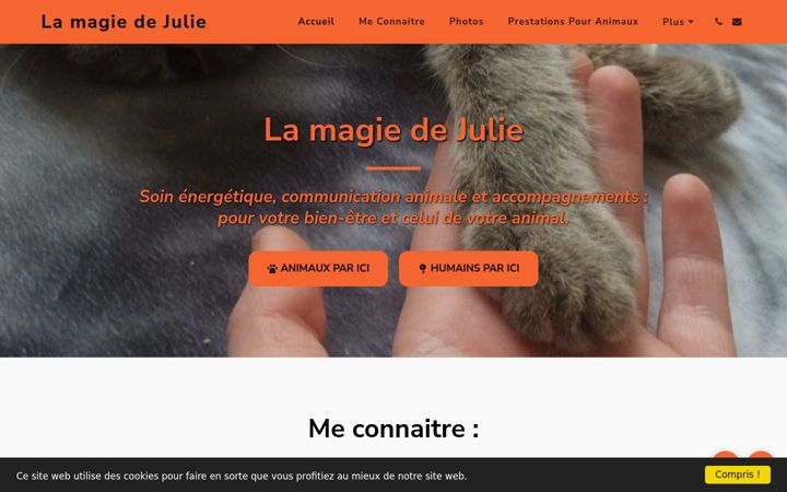 Screenshot of lamagiedejulie.fr