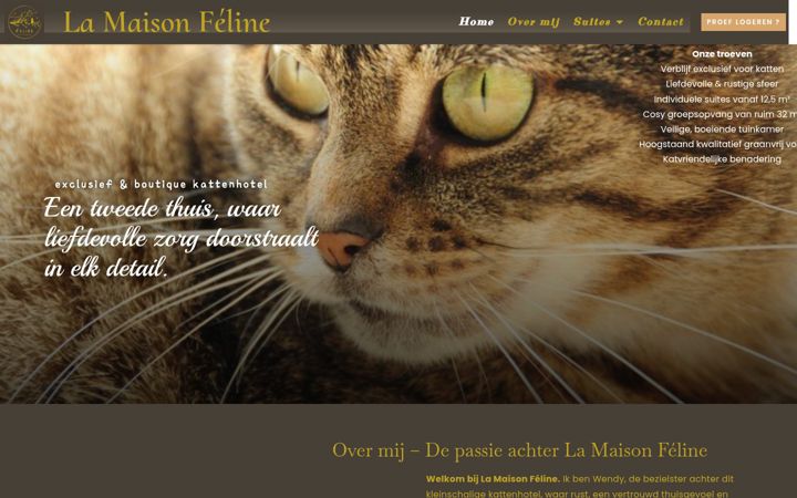 Screenshot of lamaisonfeline.be
