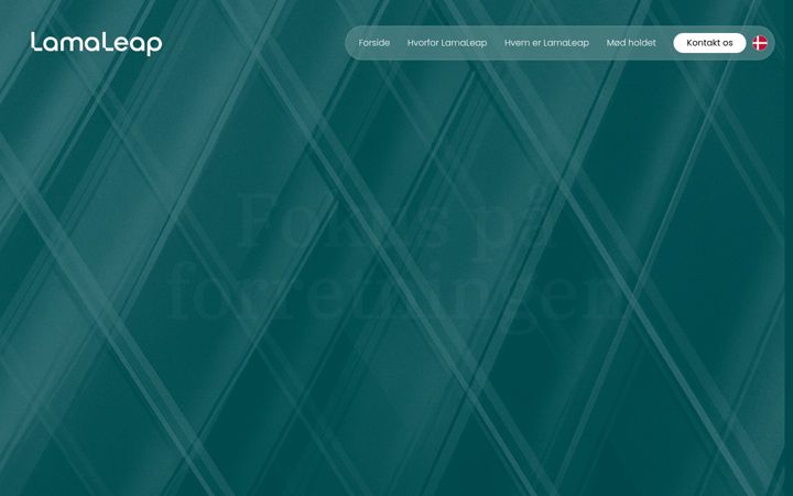 Screenshot of lamaleap.com