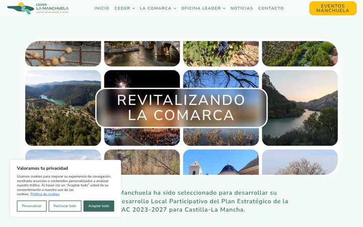 Screenshot of lamanchuela.es