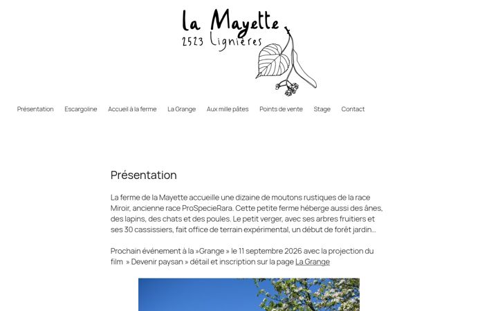 Screenshot of lamayette.ch