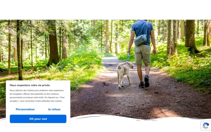 Screenshot of lameute.ca