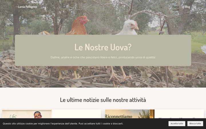 Screenshot di lamiapellegrino.it