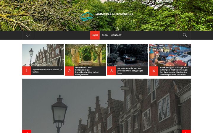 Screenshot of lammersnieuwenhuis.nl