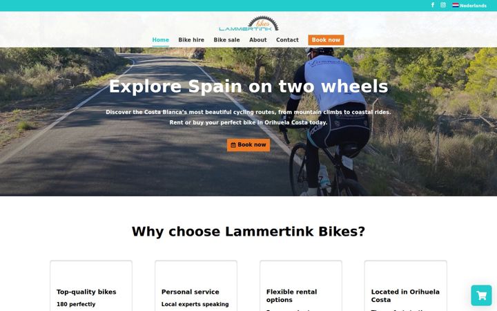 lammertinkbikes.com