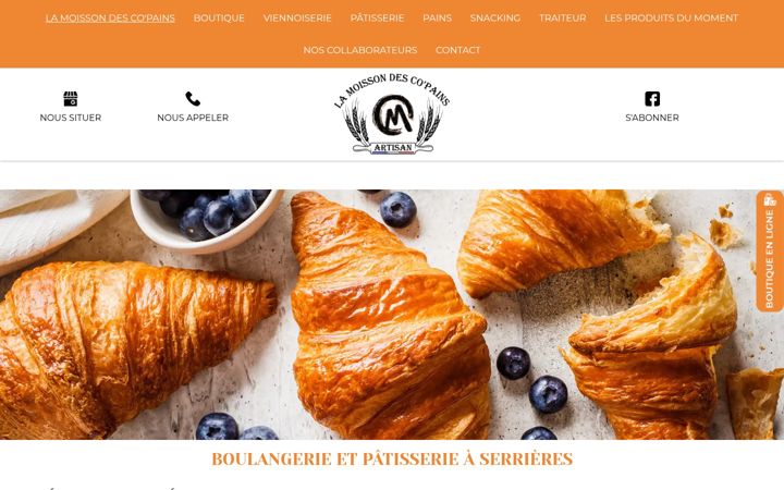 Screenshot of lamoissondescopains.fr