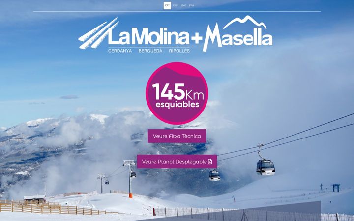 Screenshot of lamolina-masella.com