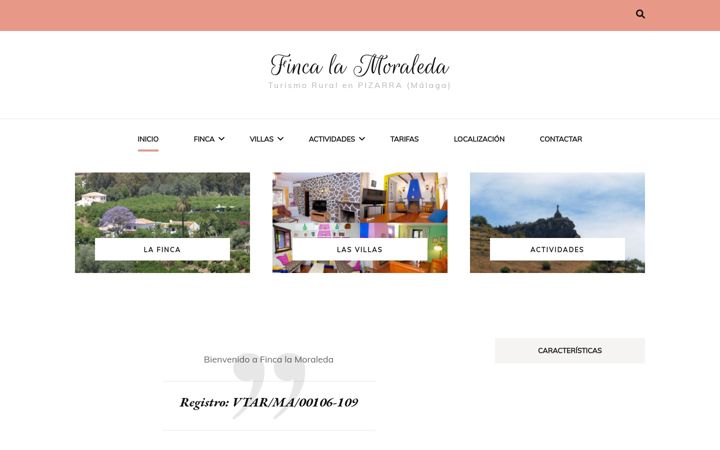 Screenshot of lamoraleda.es