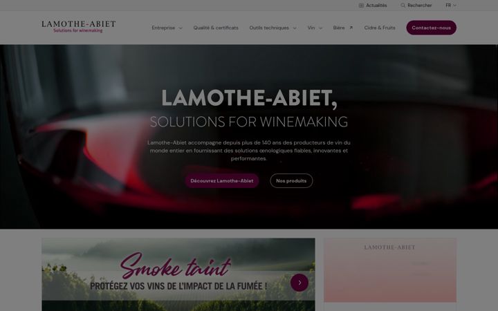 Screenshot of lamothe-abiet.com