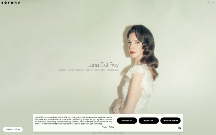 Skjámynd af lanadelrey.com
