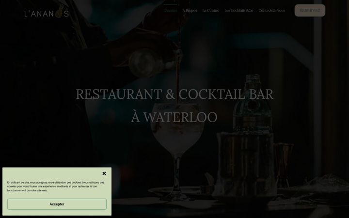 Screenshot of lananas-waterloo.be