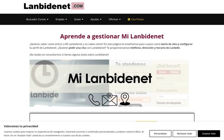 Screenshot of lanbidenet.com