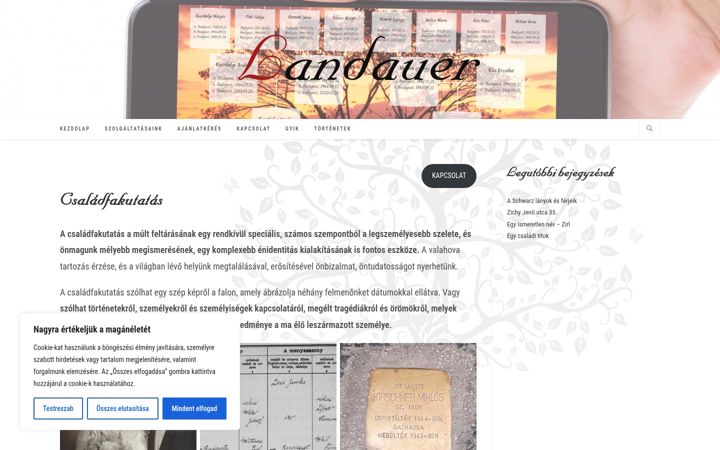Screenshot of landauer.hu