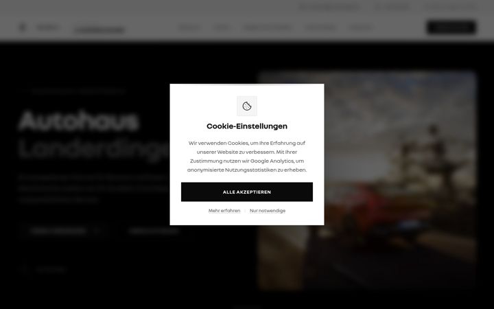 Screenshot of landerdinger.at