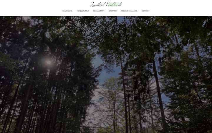 Screenshot of landhotel-waldesruh.com