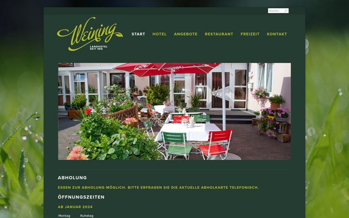 Screenshot of landhotel-weining.de