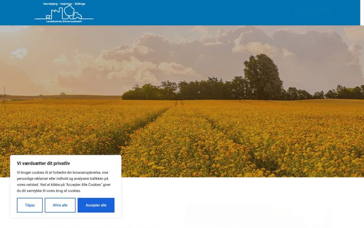 Screenshot of landsbyerhverv.dk