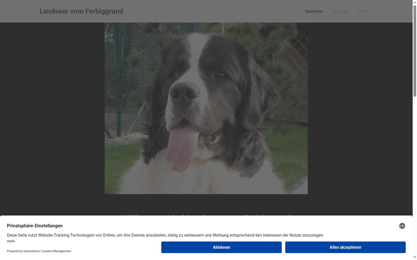 Screenshot des Einwilligungsbanners vor jeglicher Interaktion