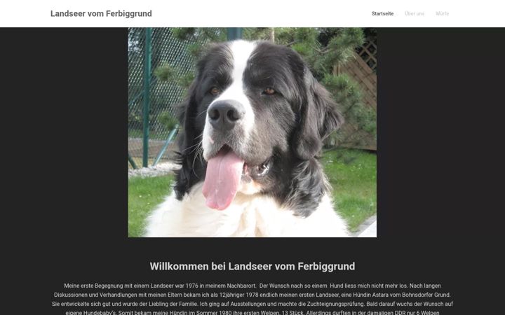 Screenshot of landseer-vom-ferbiggrund.de