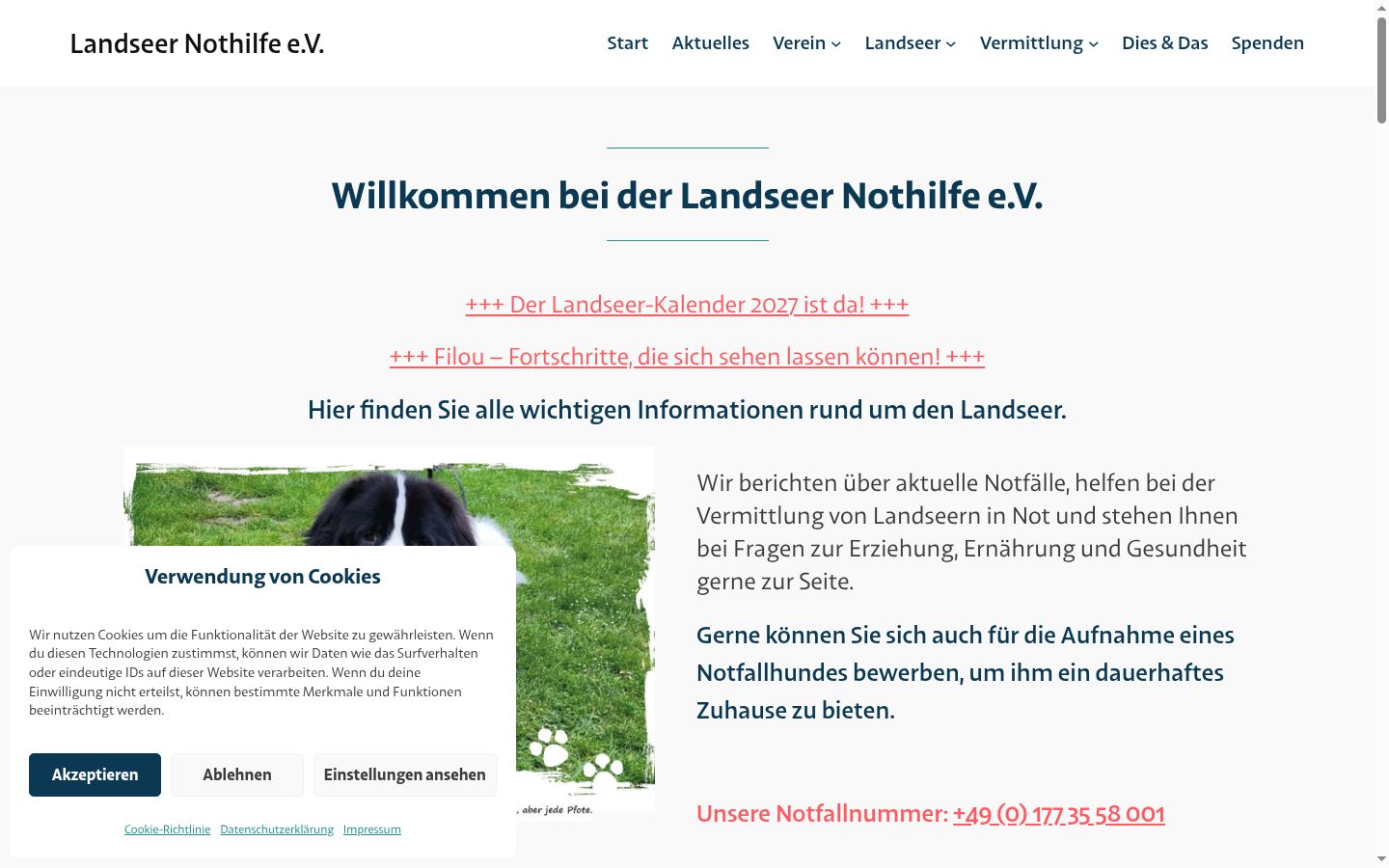 Screenshot des Einwilligungsbanners vor jeglicher Interaktion