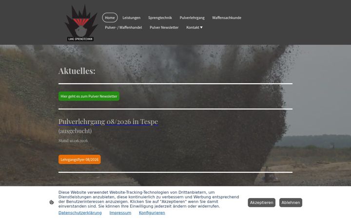 Screenshot of lang-sprengtechnik.de
