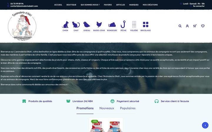 Screenshot of lanimaleriedadri.com