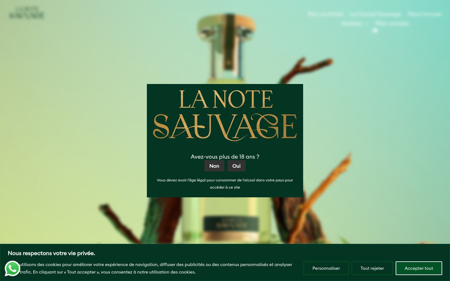 Screenshot del banner di consenso mostrato prima di qualsiasi interazione