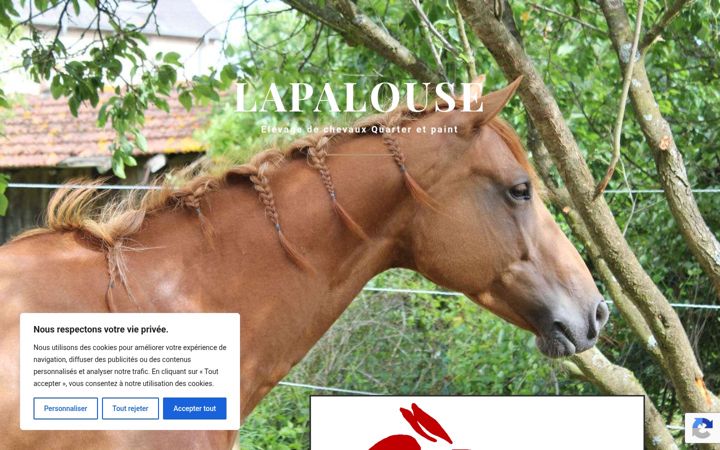 Screenshot of lapalouse.fr