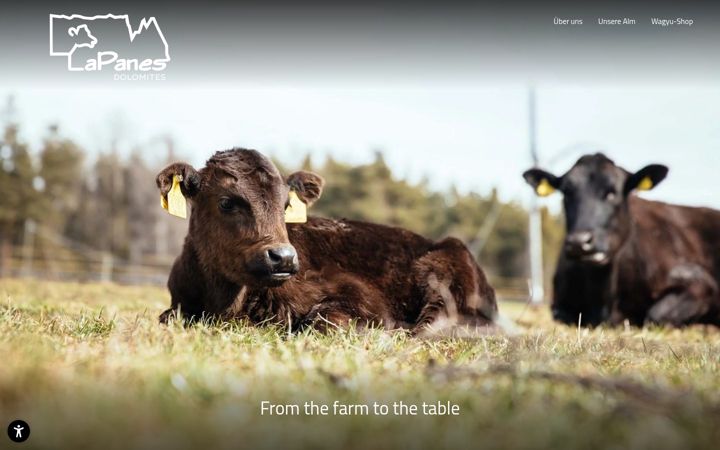 Screenshot of lapanes.com