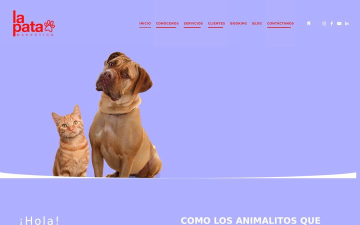Screenshot of lapatamarketing.com