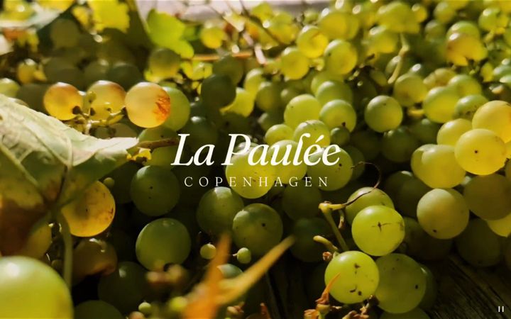 Screenshot of lapaulee.dk