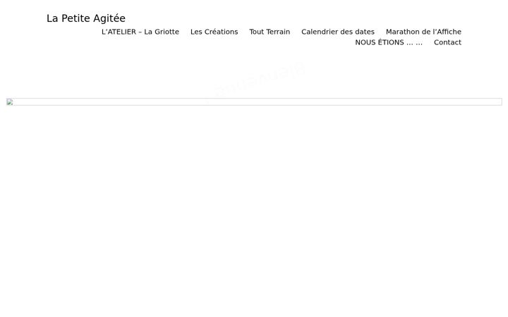 Screenshot of lapetiteagitee.fr