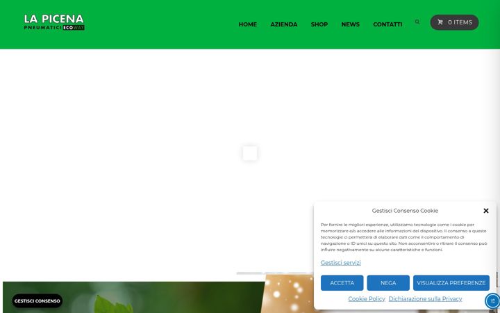 Screenshot of lapicenapneumatici.it