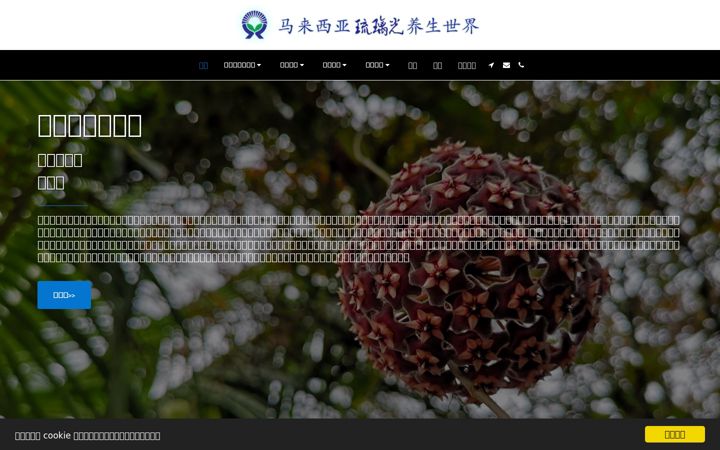 Screenshot of lapislazulilight.com.my