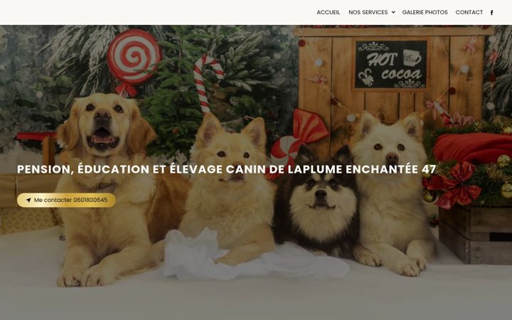 Screenshot of laplume-enchantee.fr