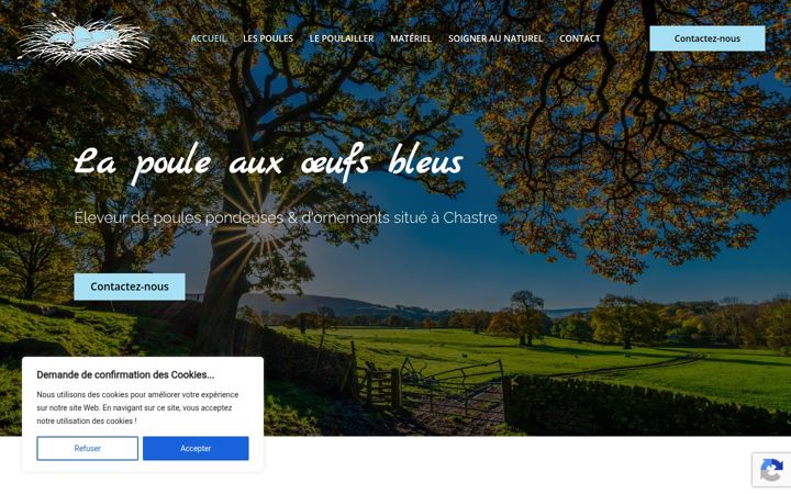 Screenshot of lapouleauxoeufsbleus.be