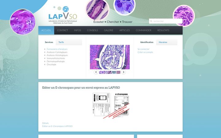 Screenshot of lapvso.com