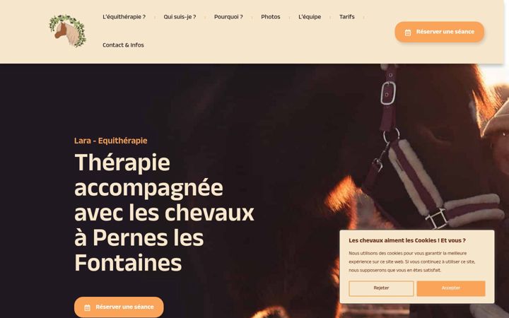 Screenshot of lara-equitherapie.fr