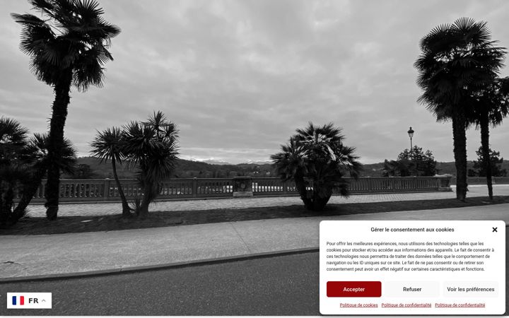 Screenshot of laragon-pau.fr