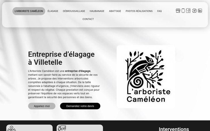 Screenshot of larboriste-cameleon.fr