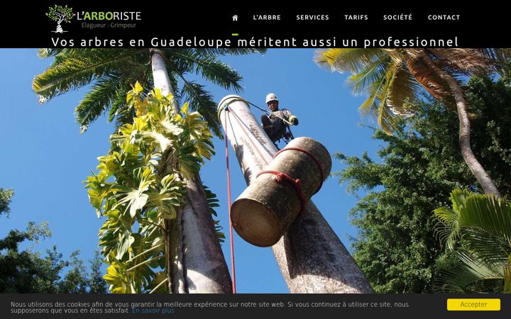 Screenshot of larboriste-guadeloupe.com
