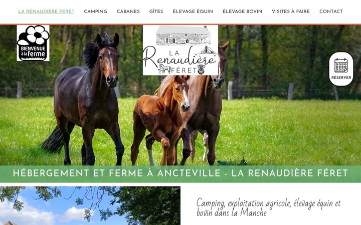 Screenshot of larenaudiereferet.fr