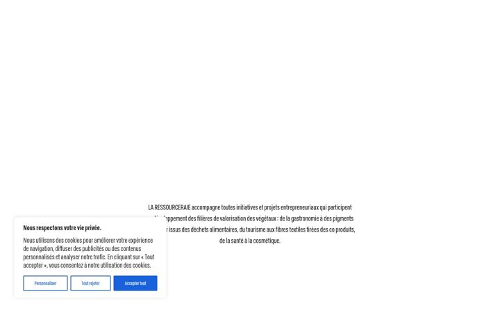 Screenshot of laressourceraie.fr